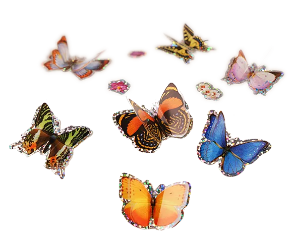 3D Butterfly Stickers by Insect Lore